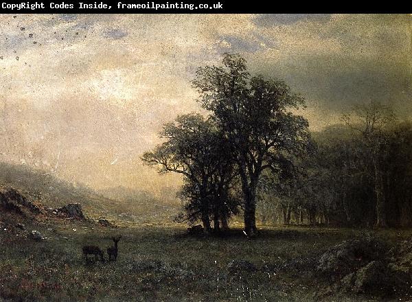 Albert Bierstadt The Open Glen, New England